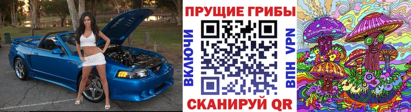 Галлюциногенные грибы Cubensis  Балей 