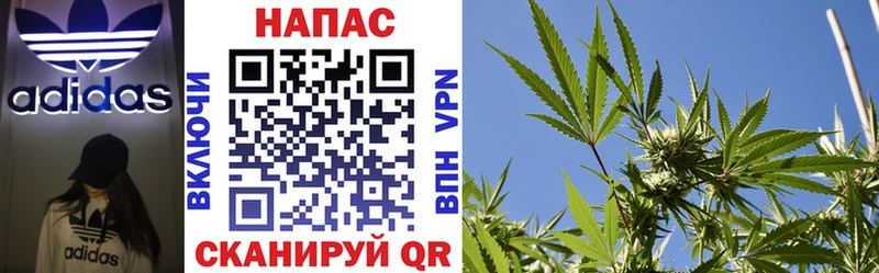 Каннабис Ganja  где можно купить наркотик  Балей 